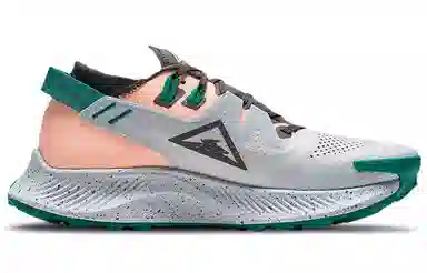 Nike Pegasus Trail 2