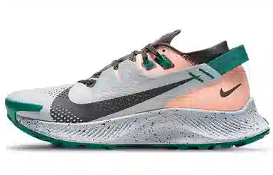 Nike Pegasus Trail 2