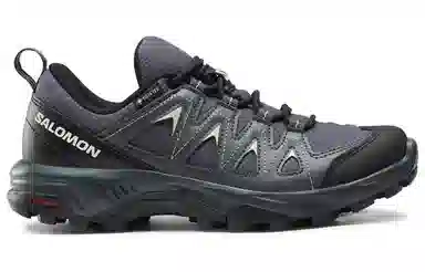Salomon X Braze GTX