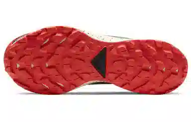 Nike Pegasus Trail 2 GORE-TEX