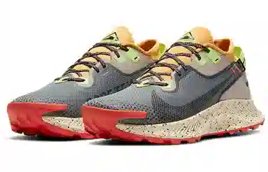 Nike Pegasus Trail 2 GORE-TEX