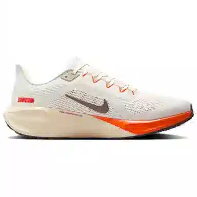 Nike Air Zoom Pegasus 41