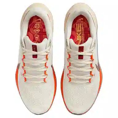 Nike Air Zoom Pegasus 41