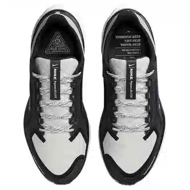 Nike Pegasus 41 GORE-TEX