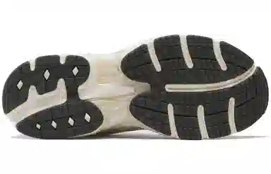 Reebok Premier Road Plus VI