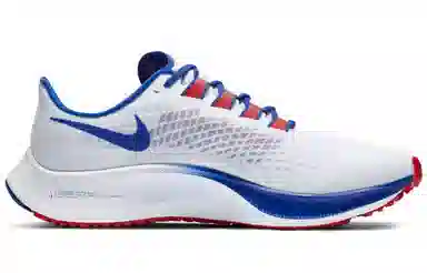 Nike Pegasus 37 Air Zoom Buffalo Bills