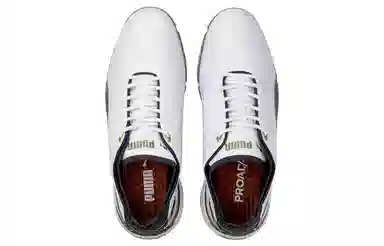 PUMA Fusion Pro Adapt Delta White Brown