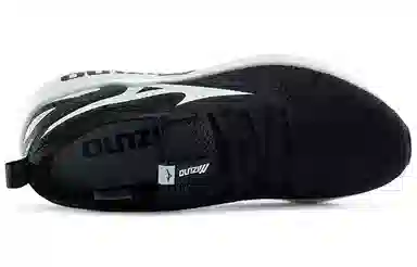 Mizuno PI