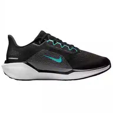 Nike Pegasus 41