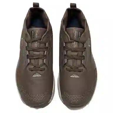 Nike Pegasus Trail 5 Brown