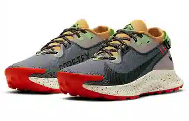 Nike Pegasus Trail 2 GTX