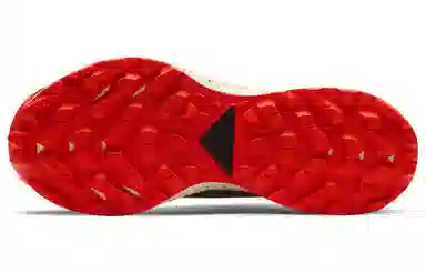 Nike Pegasus Trail 2 GTX