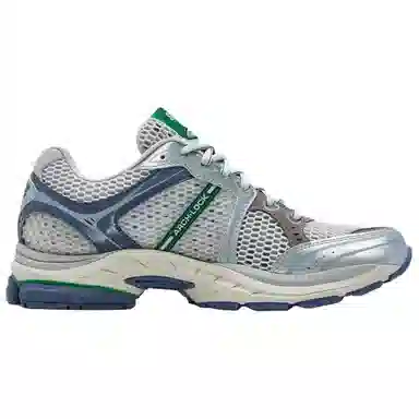 Saucony ProGrid Triumph 4 Silver Brown Green