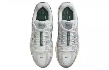 Nike P-6000 Premium