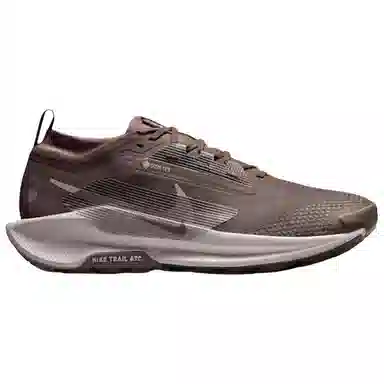 Nike Pegasus Trail 5 Brown