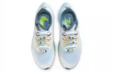 Nike Pegasus 37 White Blue