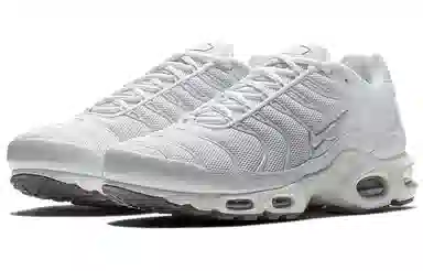 Nike Air Max Plus White