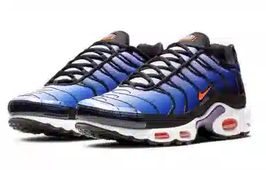 Nike Air Max Plus Midnight Purple