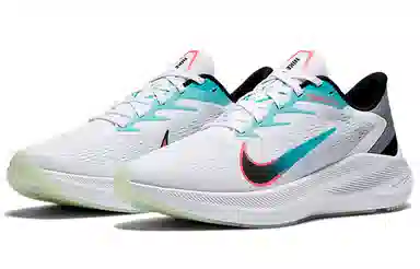 Nike Zoom Winflo 7