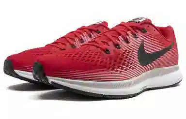 Nike Pegasus 34 Zoom