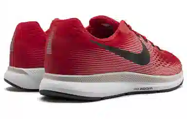 Nike Pegasus 34 Zoom