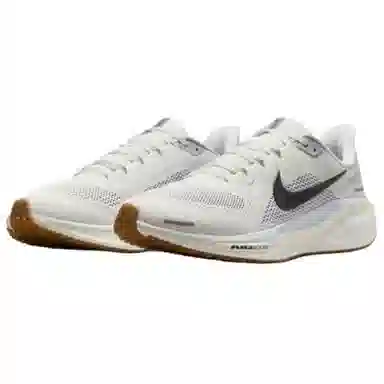 Nike Zoom Pegasus 41