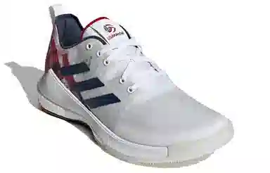 adidas Crazy Flight Usav