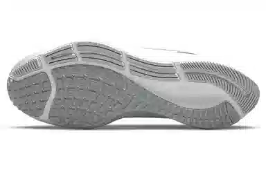 Nike Pegasus 38 White Silver