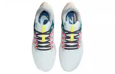 Nike Pegasus 38 Zoom PRM