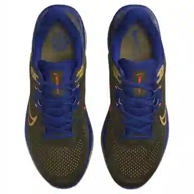 Nike Quest 6