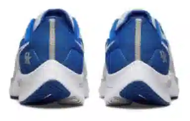 Nike Air Zoom Pegasus 38 "Kentucky"