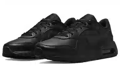 Nike Air Max SC Leather Black