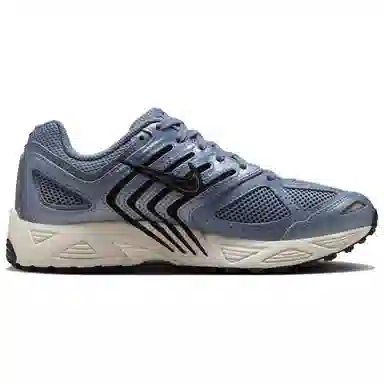 Nike Air Pegasus 2005 Blue