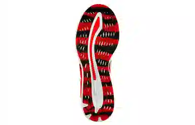 Asics Glideride Tokyo Marathon