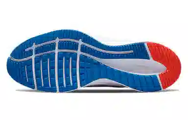 Nike Quest 4 Blue White