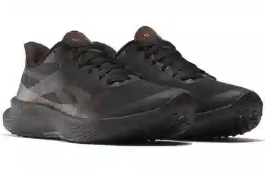 Reebok Floatride Energy 6 Black