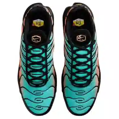 Nike Air Max Plus "South Florida"