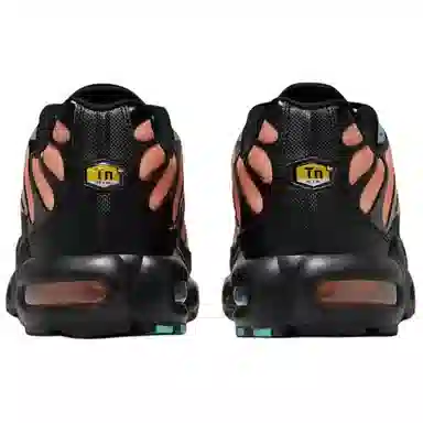 Nike Air Max Plus "South Florida"