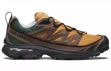 Salomon XT-6