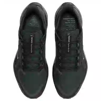 Nike Air Zoom Pegasus 41 GTX Black
