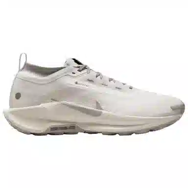 Nike Pegasus Trail 5 GORE-TEX