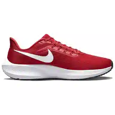 Nike Air Zoom Pegasus 39