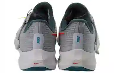 Nike Zoom Pegasus FlyEase
