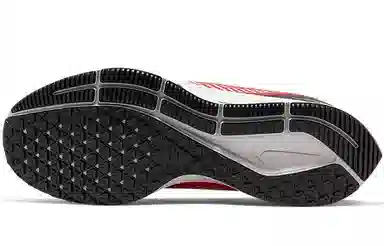 Nike Pegasus 36 Shield Black Red