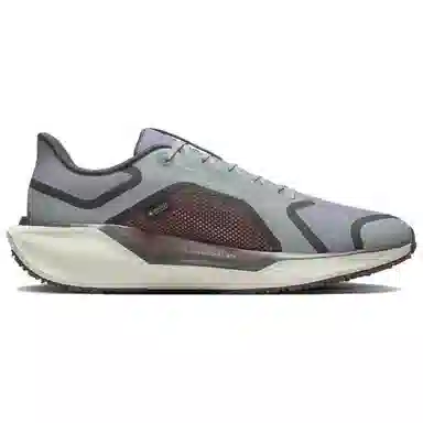 Nike Pegasus 41 GORE-TEX