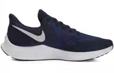 Nike Zoom Winflo 6