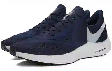 Nike Zoom Winflo 6