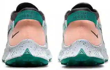 Nike Pegasus Trail 2