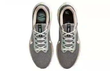 Nike Air Winflo 10 Grey