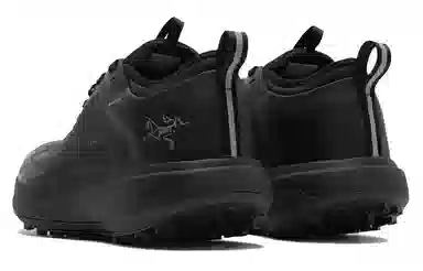 Arcteryx SYLAN GTX